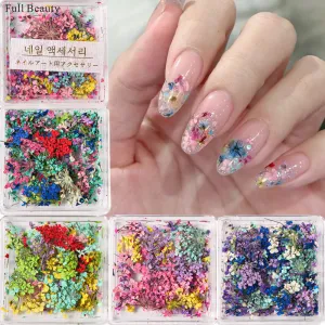 Nail Art Dried Flower Mixed With Stars Boxed Accessories